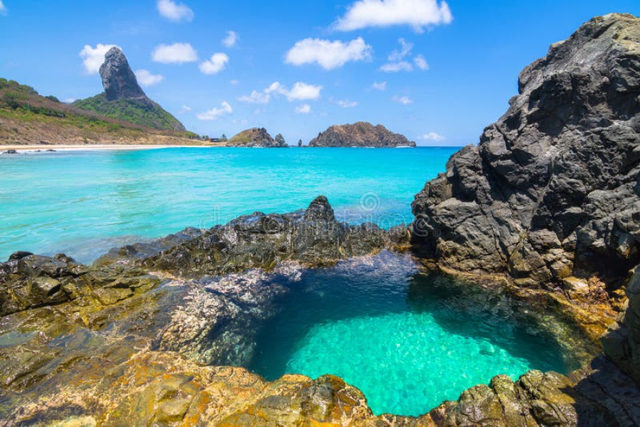 Fernando de Noronha: O Santuário Esmeralda